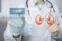 Concept of modern diagnosis and treatment of kidney diseases of the genitourinary system.