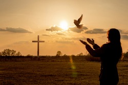 Woman launches pigeon into the sky and praying against the sunset background.