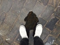 reflection of myself in the water on stone pavement