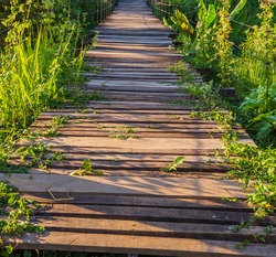 bridge walkway made from wood