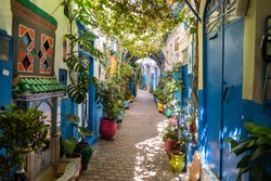 A beautiful and suggestive Tangier kasbah with colored walls and doors and a lot of plant and flowers outdoor.