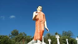 Sri lankan Standing tall Buddha Statue 