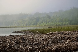 Misty hazy summer morning along the Susquehanna River at the north branch creek Mehoopany Pennsylvania