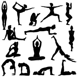 Vector silhouettes of woman practicing yoga. Shapes of slim girl doing yoga exercises in different poses isolated on white background. Yoga icons.