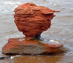 Teacup Rock at Thunder Cove Beach is one of the most photographed rock formations on Prince Island and has been there for decades. 