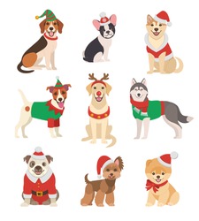 Christmas Dogs collection. Vector illustration of funny cartoon different breeds dogs in Christmas costumes. Isolated on white