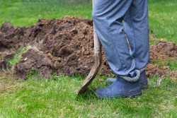 Legs of a man in rubber boots with a shovel near the excavated ground close-up. Hard work, farming, gardening, reforestation. Landscaping. Digging a grave, burial. Copy space.