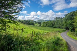 Winding Country Road In Beautiful Green Rural Landscape In Summer