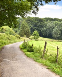 Idyllic footpath through fields and forest, nature background. Country road or street through an idyllic landscape in summer. Forest, fields and blue sky with copy space. 