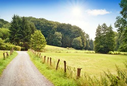 Idyllic country road in the sun, with copy space and forest. Single lane road through fields and pastures, nature background. 