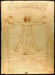 Da Vinci Vitruvian from 1492