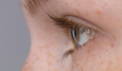 macro shot of a freckles   eye