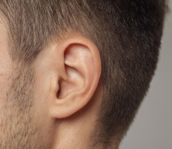 human ear  close-up shot  or ear ent doctor check