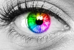 human vision color spectrum  concept 