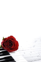 red rose on piano keyboard