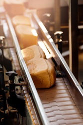 Square baked breads on conveyor automatic production line bakery from hot oven, top view.