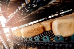 Square fresh bread cools down on conveyor automatic production line bakery after stone oven.