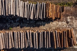 Log trunks pile trees, logging timber wood industry concept. Aerial top view.