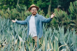 Portrait smile farmer man in hat gardener plant cactus agave plantation for tequila.