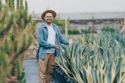 Portrait smile farmer man in hat gardener plant cactus agave plantation for tequila.