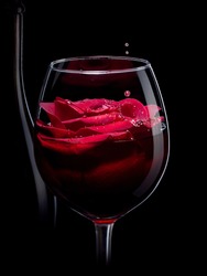 Red Wine Glass and Silhouette of a Bottle 