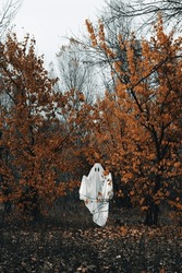 The ghost is covered with a white ghostly sheet in the autumn gloomy forest. A spooky white ghost peeks out from behind a tree