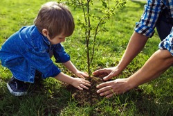 little boy helping his father to plant the tree while working together in the garden. sunday. smiling face.  spring time 