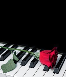 rose on a piano