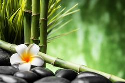 spa concept with zen basalt stones bamboo and Frangipani flower