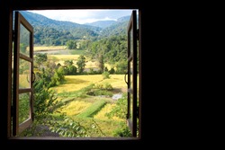 view from window at a wonderful rice terraces with space for your text in Chiangmai, Thailand , Indochina