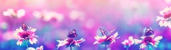  mysterious lilac natural panoramic background with butterflies sitting in a row on flowers in the evening summer garden