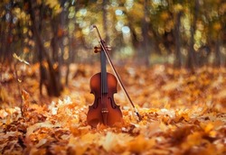 instrument wooden violin with bow stands in a spring sunny park among fallen golden foliage