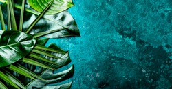 Creative tropical leaves background. Trandy tropical leaves on turquoise slate background - color of the year 2018. Top view, copy space.