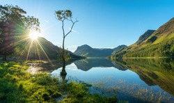 Lone tree and Buttermere lake at Sunrise. Lake District. England