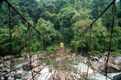 Backpacker with a green backpack walking across a rickety wood and cable bridge spanning a rushing river deep in the rain forest of Meghalaya, a state in Northeast India