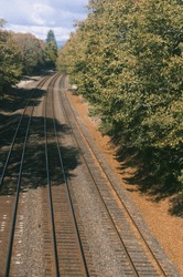 Train tracks cut through wooded area on a sunny day. 
