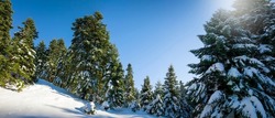 A beautiful winter landscape with snow covered fir trees and blue sky at Parnassus mountain, close to the popular winter mountain village of Arachova, Greece
