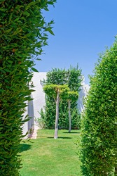 The white wall of the building is surrounded by flowers, plants and trees in a well-tended garden. Minimalist garden, architectural, landscape, vacation concept.
