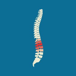 Vector human spine with pain isolated silhouette illustration. Spine pain medical center, clinic, rehabilitation. Vector stock illustration.