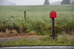 roadside red mailbox in sea of green grass in New Zealand