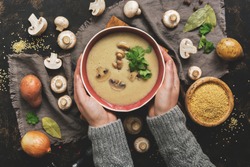 Women hands in a gray sweater holding a bowl of cream of mushroom soup. Hot winter soup on a dark rustic background. Top view, flat lay