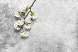 Blooming cherry branch (artificial) on a gray grunge background. Beautiful spring background. Top view, flat lay, copy space. Textured object, selective focus.