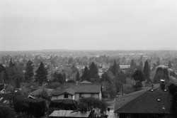 Vintage 35mm black and white photo of a SE Portland neighborhood, featuring trees and the roofs of homes and buildings. This modern-day image captures a unique and artistic look at urban living.