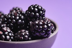 Close-up of blackberries in a bowl, minimal. Bowl of blackberry fruits isolated on a purple background. Ripe blackberry fruits macro image.