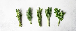 Bunches of fresh raw herbs - rosemary, thyme, dill, parsley and sage on a textured background. Top view. Copy space
