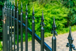 Beautiful Iron Fence with green background
