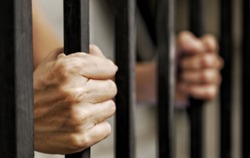 hands of prisoner holding black metal bars, criminal locked in jail waiting for release