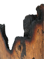 burned wood on white background,old wood after burned on white background