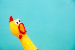 squawking chicken or squeaky toy are shouting and copy space pastel background.