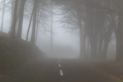 Road in a fog in a cloud in the mountains of Madeira Island, Portugal.